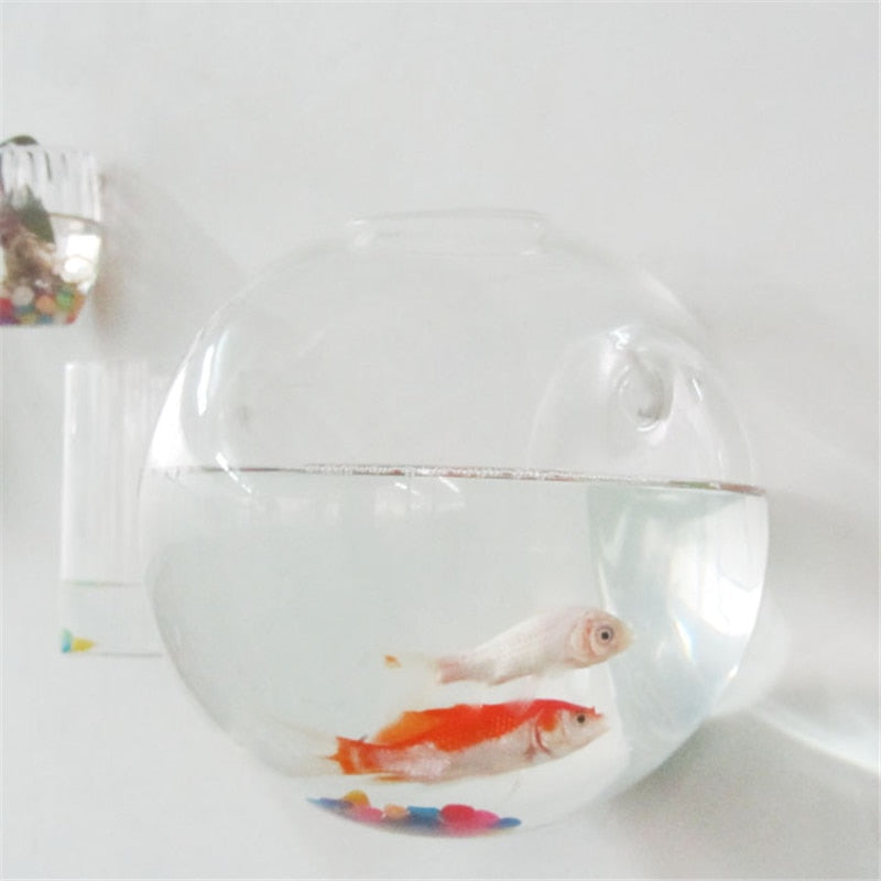 Glass Hanging Plant Pot Wall Decor 10cm by HitMyNeed