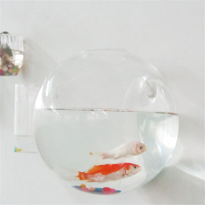 Glass Hanging Plant Pot Wall Decor 10cm by HitMyNeed