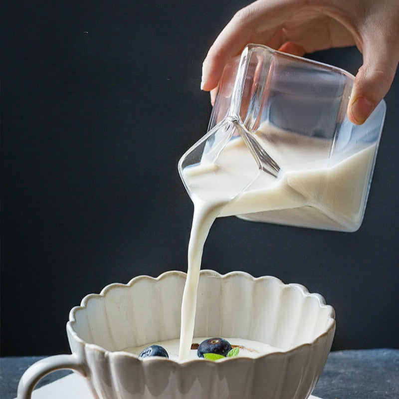 Glass Milk Carton Drink Container 300ml by HitMyNeed