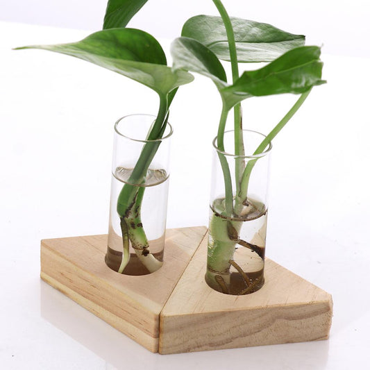 Glass Tube Vase Set with Wooden Stands by HitMyNeed