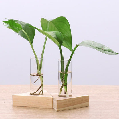 Glass Tube Vase Set with Wooden Stands by HitMyNeed