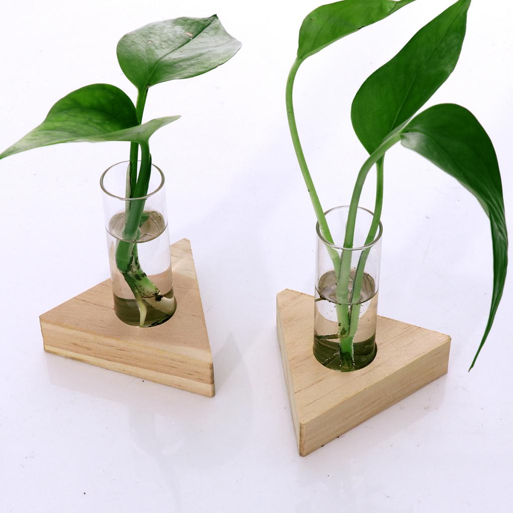 Glass Tube Vase Set with Wooden Stands by HitMyNeed