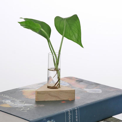 Glass Tube Vase Set with Wooden Stands by HitMyNeed