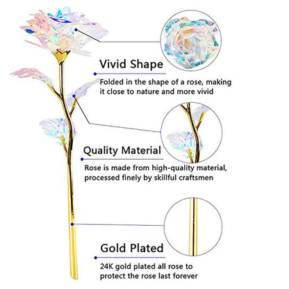 Gold Plated Rose Flowers with Translucent Buds (Set of 5) by HitMyNeed