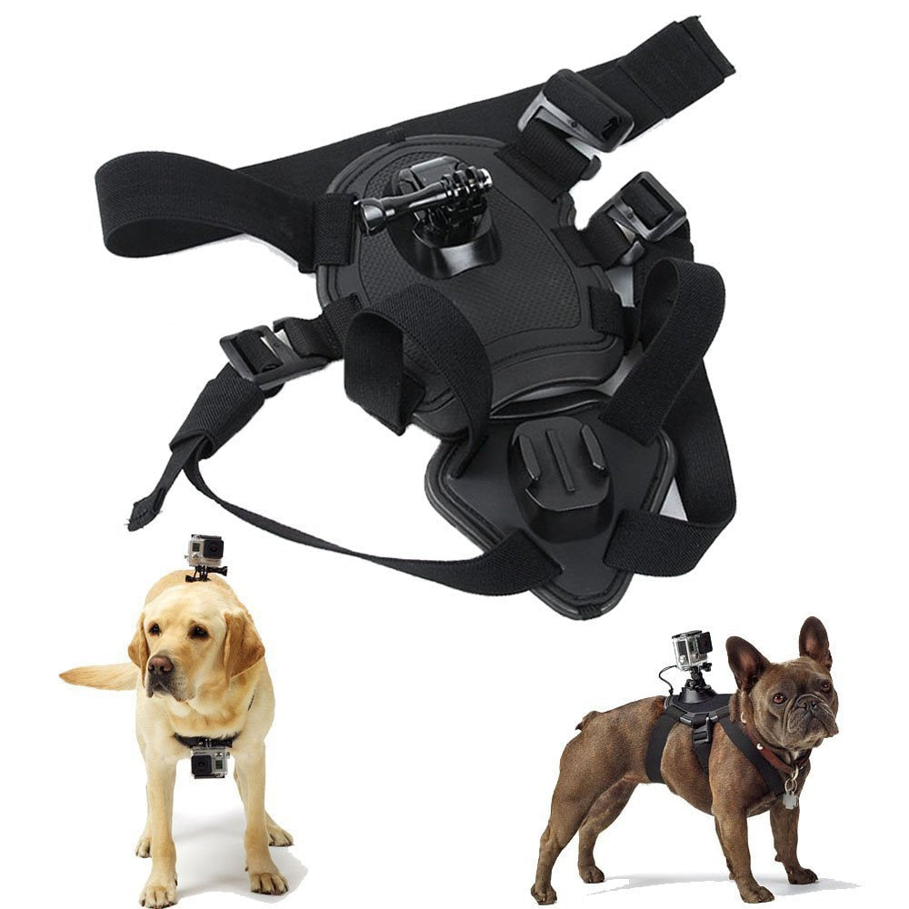GoPro Compatible Dog Harness Camera Mount by HitMyNeed