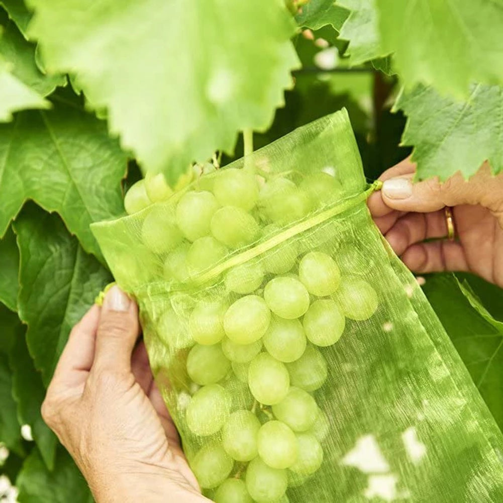 Grape Fruit Protection Mesh Bags for Pest Control by HitMyNeed