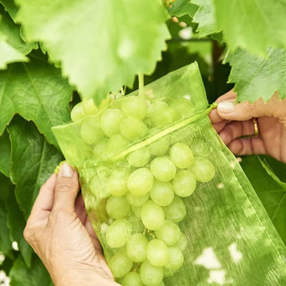 Grape Fruit Protection Mesh Bags for Pest Control by HitMyNeed