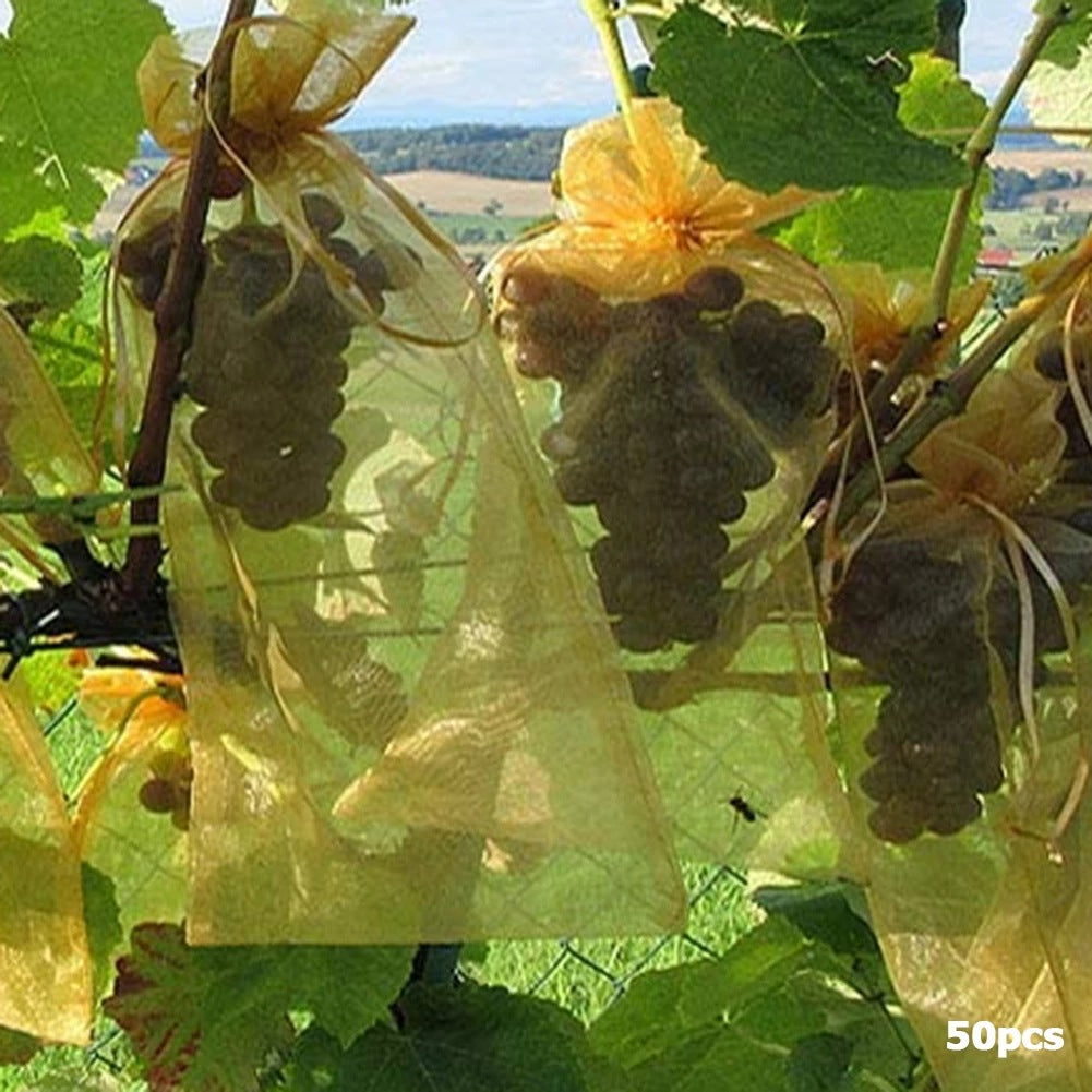 Grape Fruit Protection Mesh Bags for Pest Control by HitMyNeed