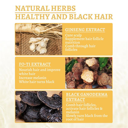 Gray Hair Treatment Serum for Natural Darker Tone 30ml by HitMyNeed