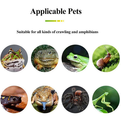 Green Moisture Proof Reptile Carpet 60 x 40 cm by HitMyNeed