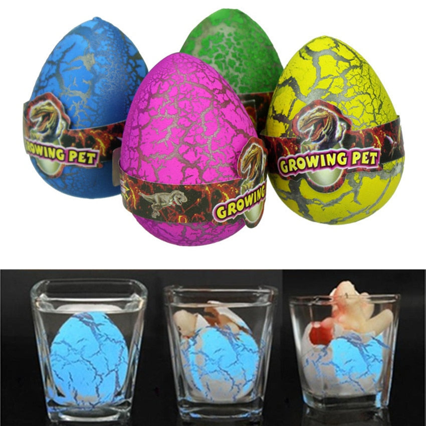 Grow in Water Dinosaur Egg Toys Set (5pcs) by HitMyNeed