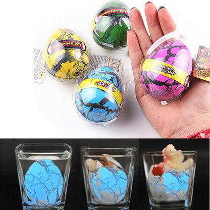Grow in Water Dinosaur Egg Toys Set (5pcs) by HitMyNeed