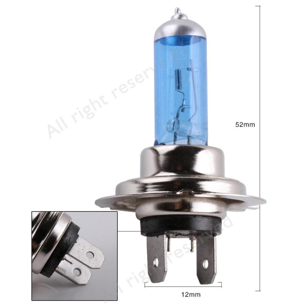 H7 12V 55W White Halogen Fog & Headlight Bulb 4pcs-100w by HitMyNeed