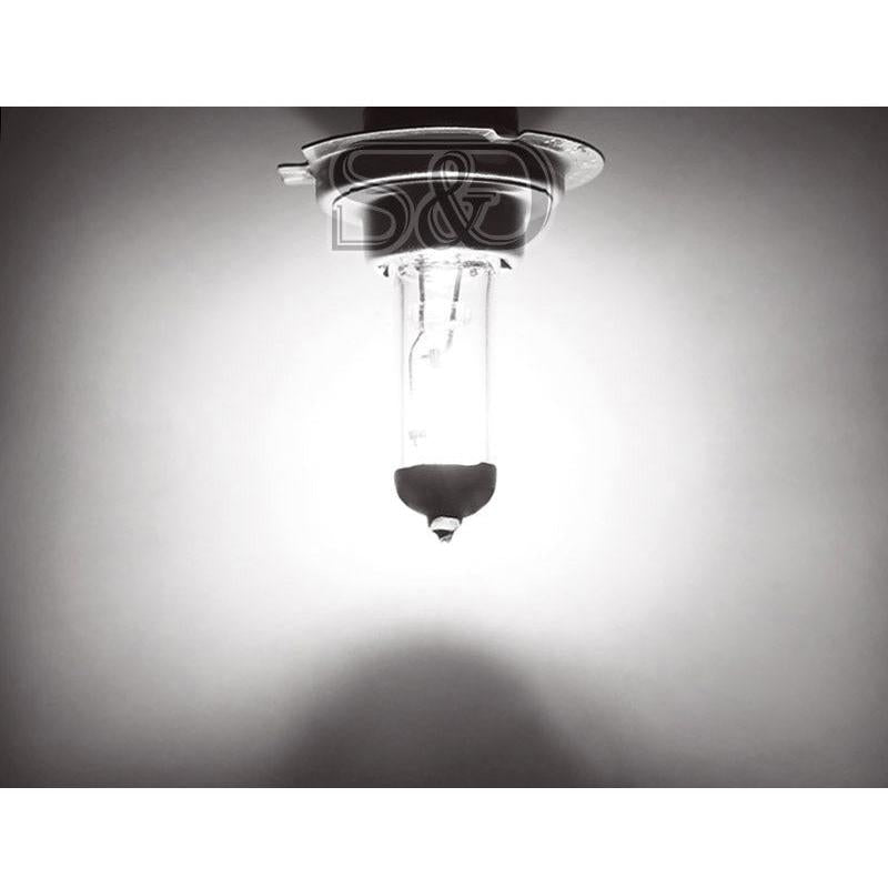 H7 12V 55W White Halogen Fog & Headlight Bulb by HitMyNeed