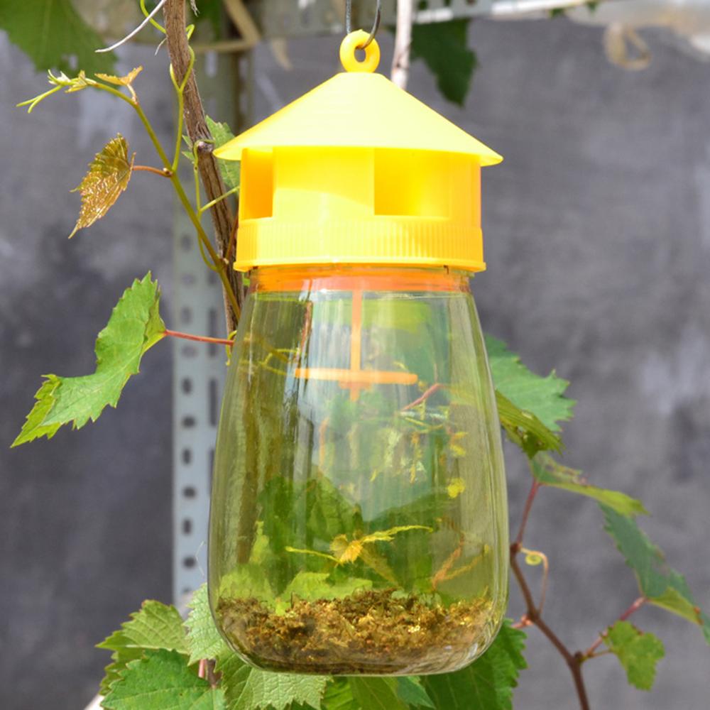 Hanging Fly Trap Pest Killer for Outdoor Use by HitMyNeed