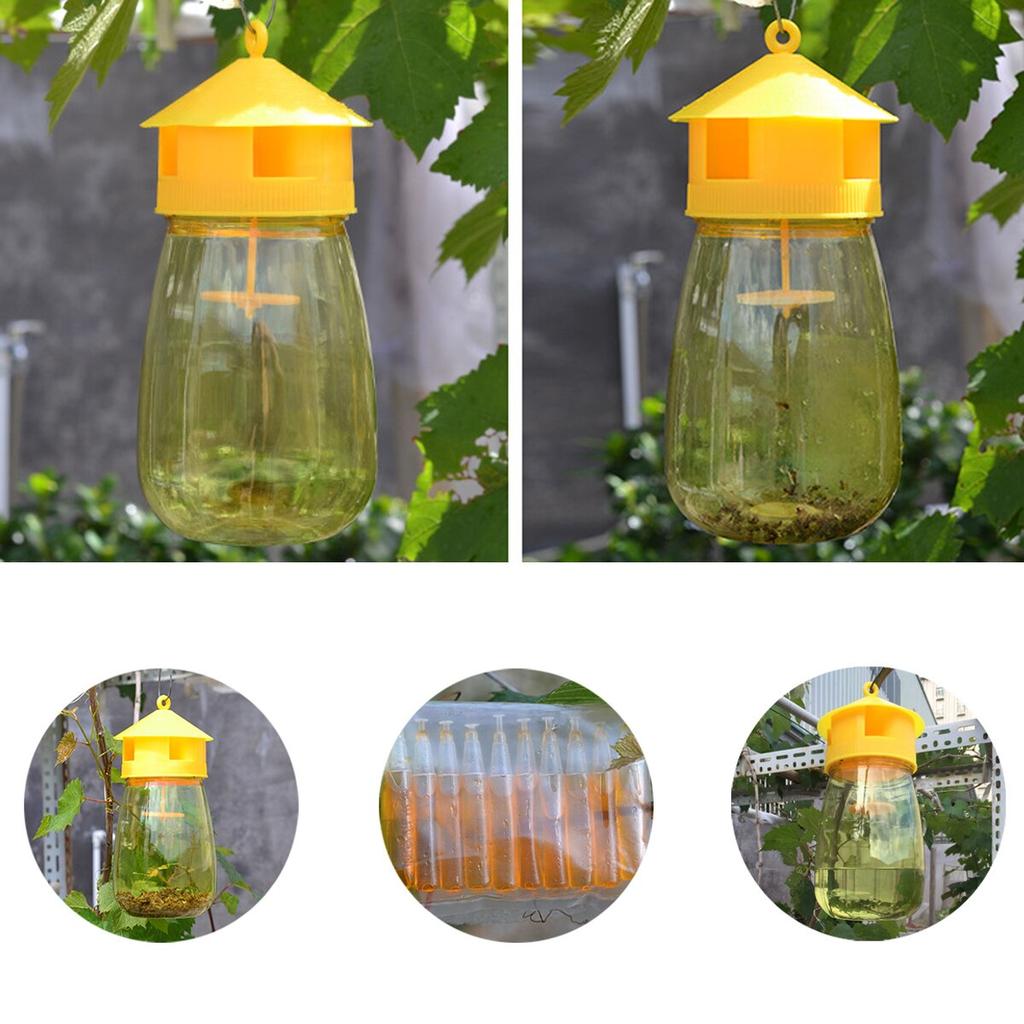 Hanging Fly Trap Pest Killer for Outdoor Use by HitMyNeed