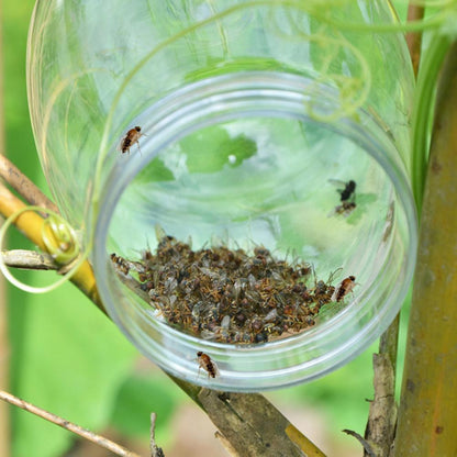 Hanging Fly Trap Pest Killer for Outdoor Use by HitMyNeed