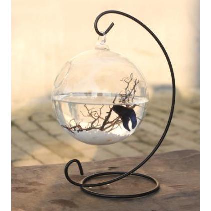 Hanging Glass Fish Bowl Vase with Iron Stand by HitMyNeed