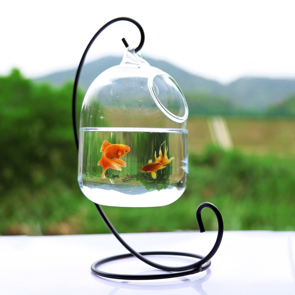 Hanging Glass Fish Bowl with Steel Stand Decor by HitMyNeed