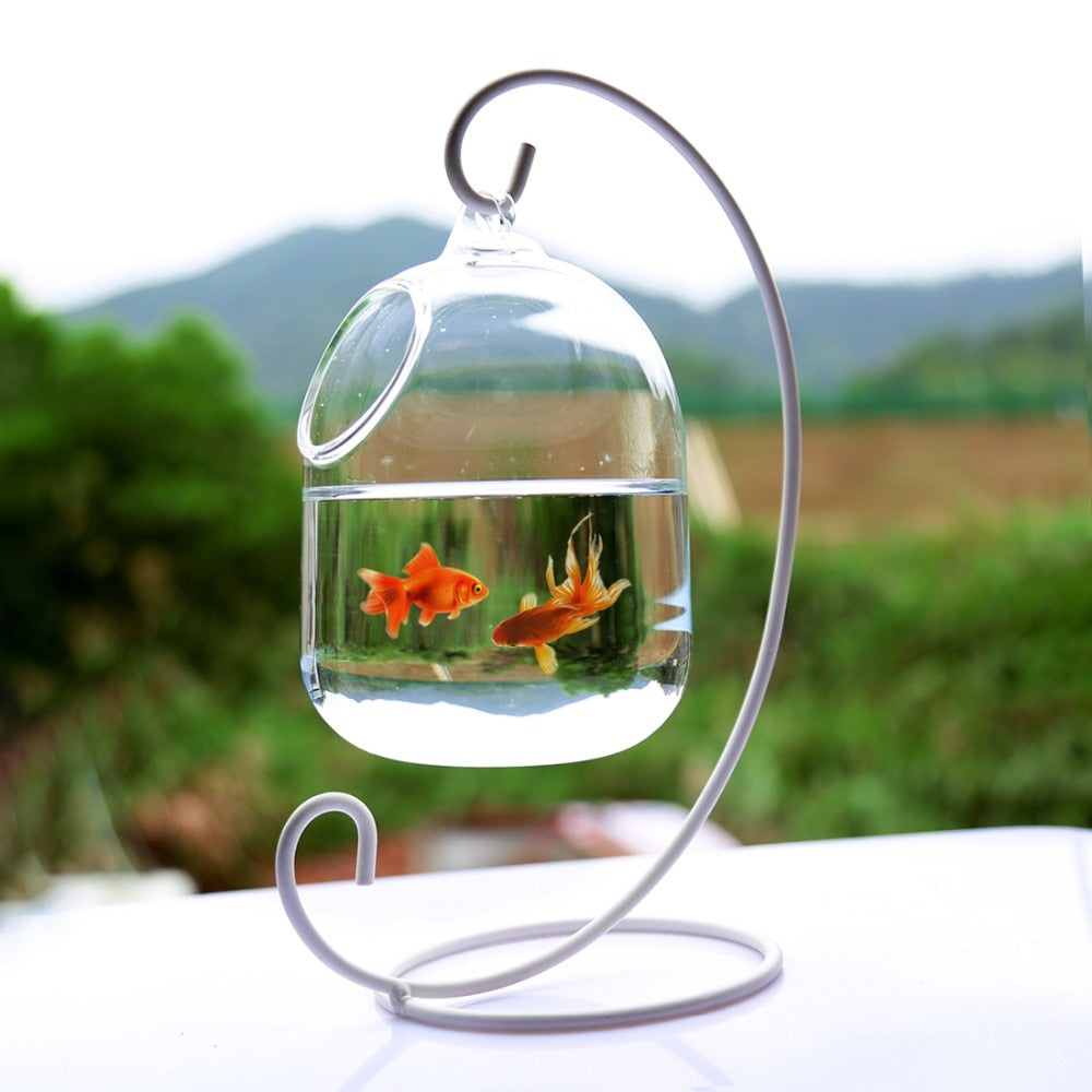 Hanging Glass Fish Bowl with Steel Stand Decor by HitMyNeed