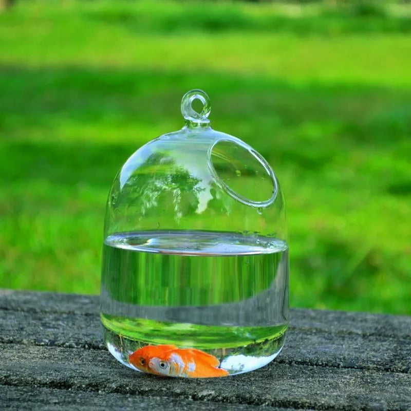 Hanging Glass Fish Bowl with Steel Stand Decor by HitMyNeed