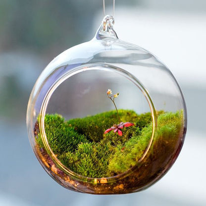 Hanging Glass Terrarium Globe Ornament 8cm by HitMyNeed