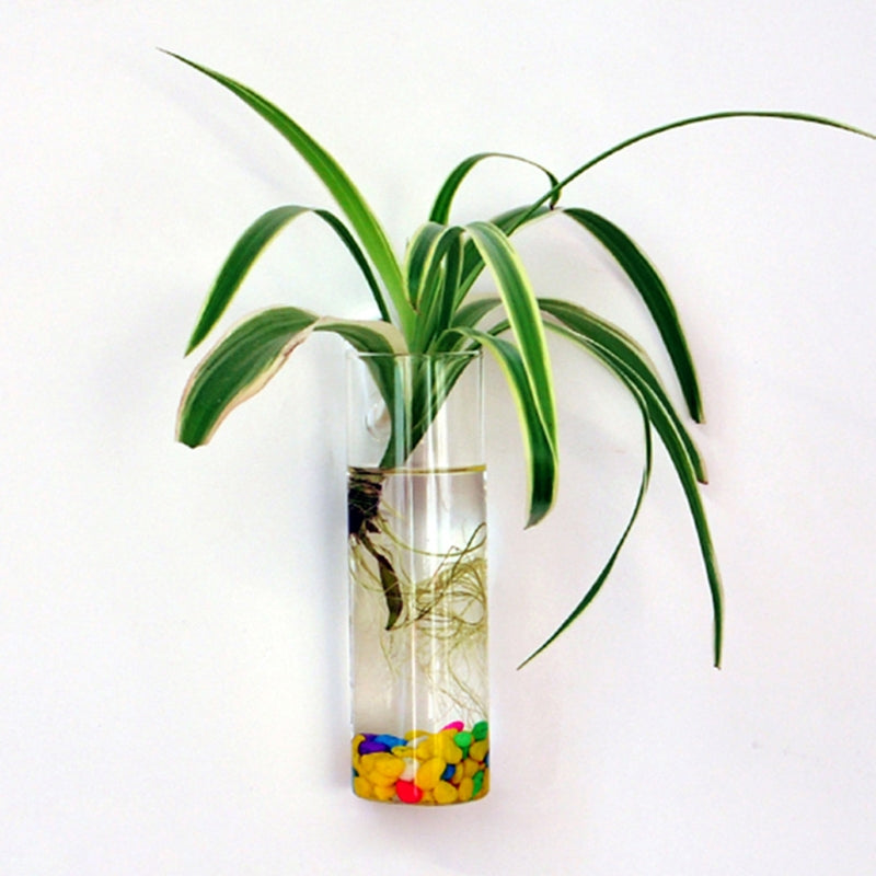 Hanging Wall Glass Vase - 15 cm Cylindrical Planter by HitMyNeed