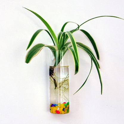 Hanging Wall Glass Vase - 15 cm Cylindrical Planter by HitMyNeed