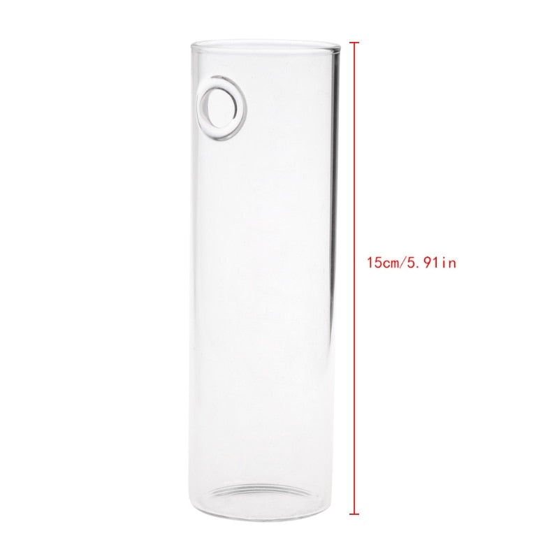 Hanging Wall Glass Vase - 15 cm Cylindrical Planter by HitMyNeed