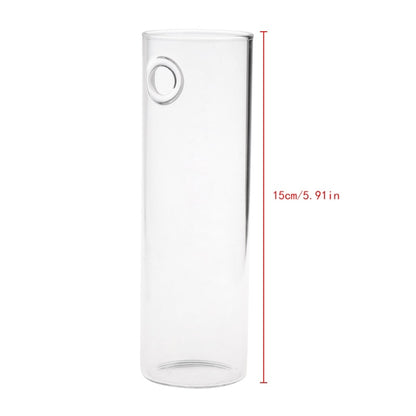 Hanging Wall Glass Vase - 15 cm Cylindrical Planter by HitMyNeed