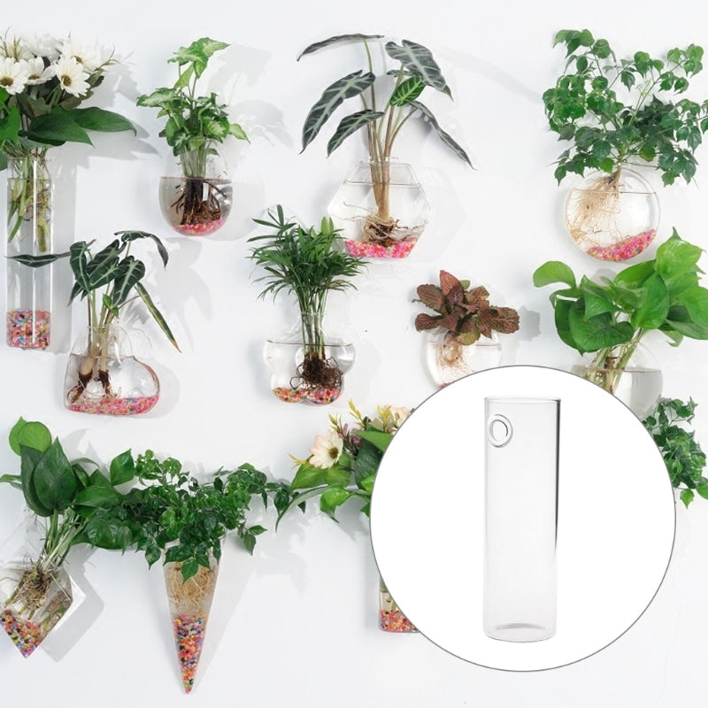 Hanging Wall Glass Vase - 15 cm Cylindrical Planter by HitMyNeed
