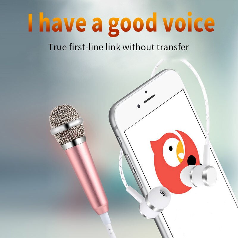 HD Sound 3.5mm Mini Jack Microphone with Earphones by HitMyNeed