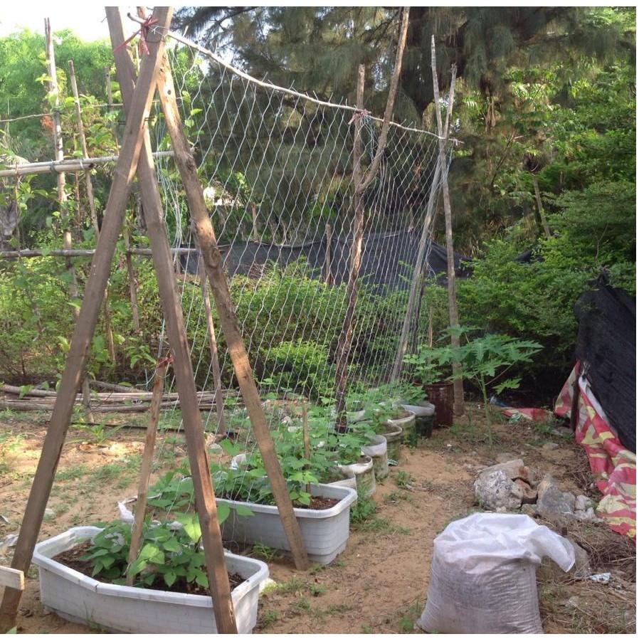 Heavy-Duty Garden Trellis Netting for Climbing Plants 1-35x2-7m-4x8ft by HitMyNeed