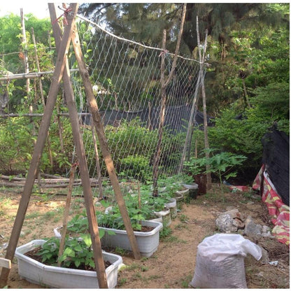 Heavy-Duty Garden Trellis Netting for Climbing Plants 1-35x2-7m-4x8ft by HitMyNeed