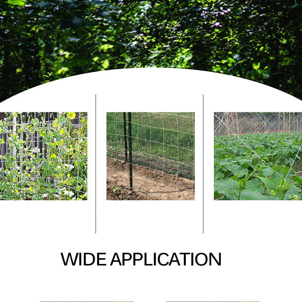 Heavy-Duty Garden Trellis Netting for Climbing Plants 1-67x20m-5x60ft by HitMyNeed