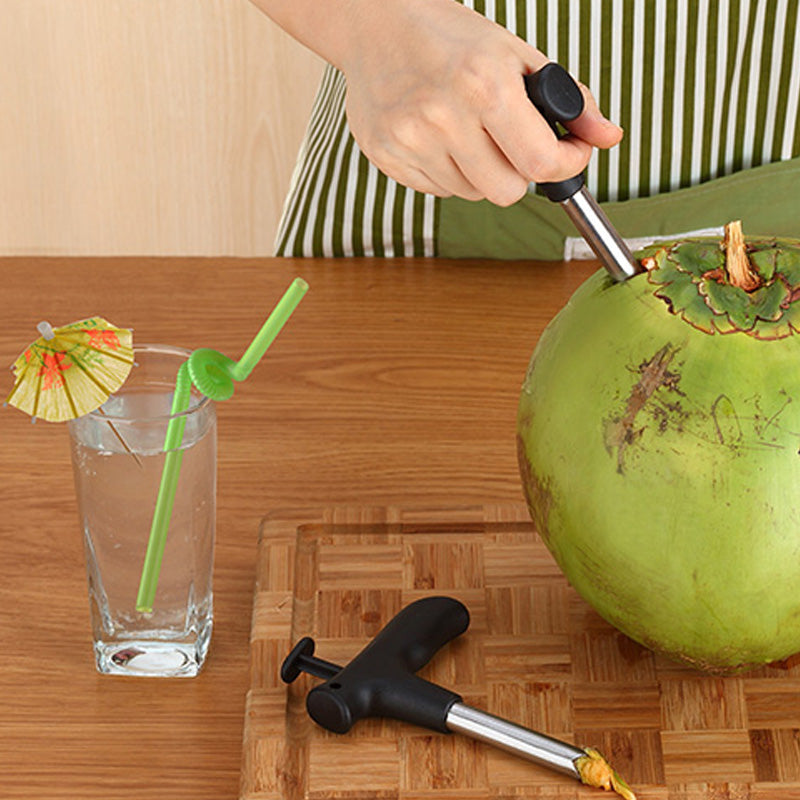 Heavy Duty Stainless Steel Coconut Hole Puncher by HitMyNeed