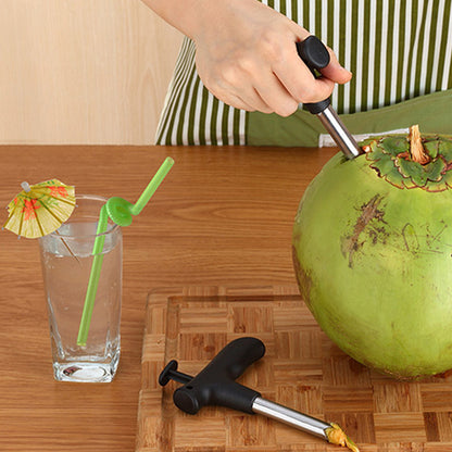 Heavy Duty Stainless Steel Coconut Hole Puncher by HitMyNeed