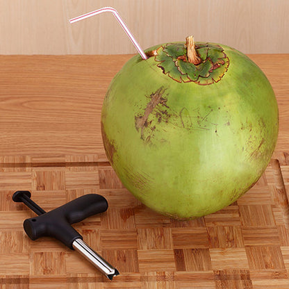 Heavy Duty Stainless Steel Coconut Hole Puncher by HitMyNeed