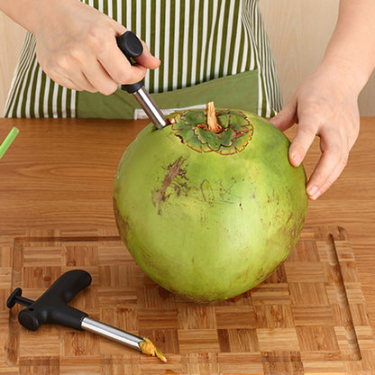 Heavy Duty Stainless Steel Coconut Hole Puncher by HitMyNeed