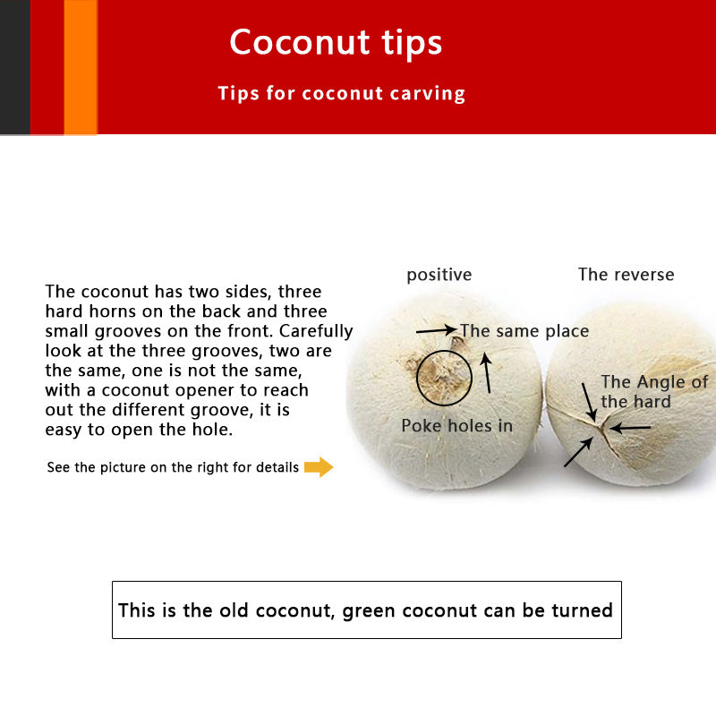 Heavy Duty Stainless Steel Coconut Hole Puncher by HitMyNeed