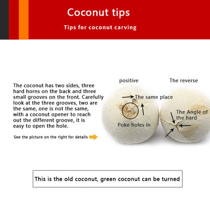 Heavy Duty Stainless Steel Coconut Hole Puncher by HitMyNeed