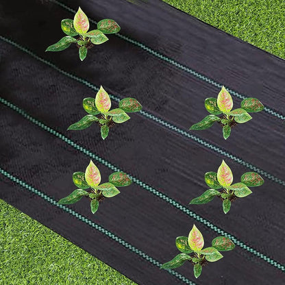 Heavy Duty Woven Weed Barrier Fabric 2m x 10-15m by HitMyNeed
