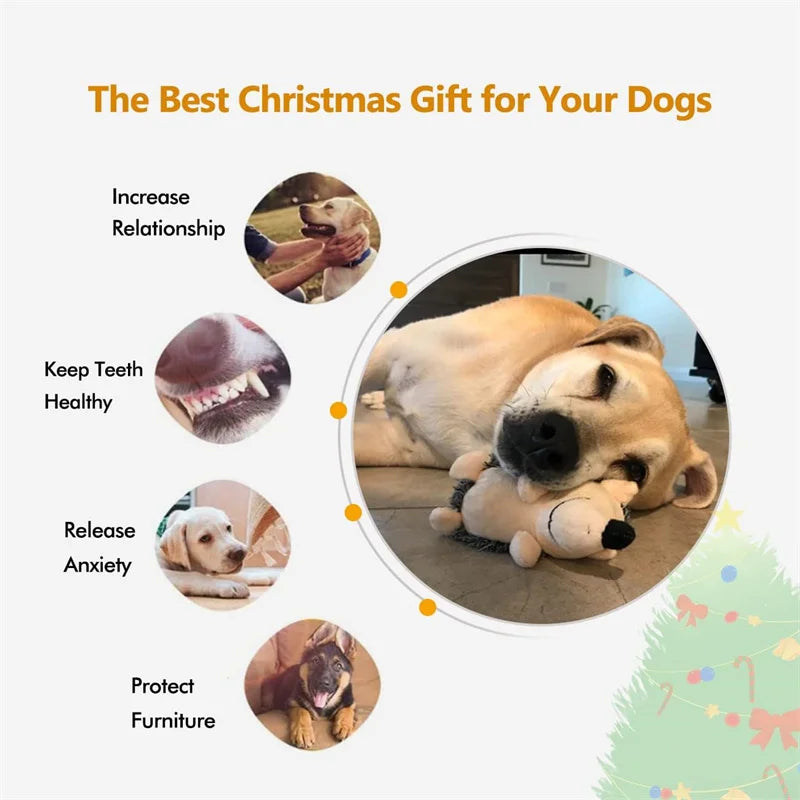 Hedgehog Dog Toy with Squeaker for Interactive Play by HitMyNeed