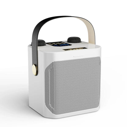 High Power 360° Bluetooth Karaoke Speaker by HitMyNeed