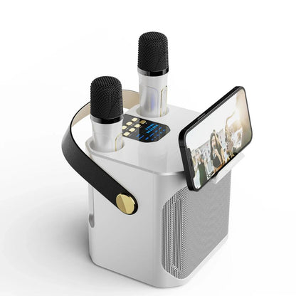High Power 360° Bluetooth Karaoke Speaker by HitMyNeed
