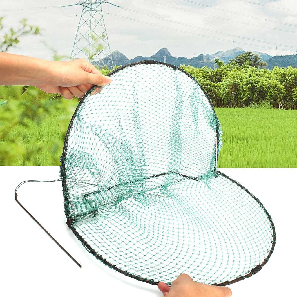 Humane Bird Trap Mesh Net for Small to Medium Birds by HitMyNeed