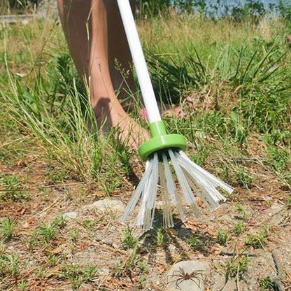 Humane Catch and Release Spider Catcher Tool by HitMyNeed