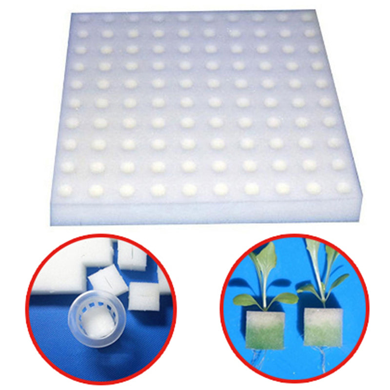 Hydroponic Grow Sponges for Soil-Less Cultivation (100) by HitMyNeed