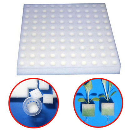 Hydroponic Grow Sponges for Soil-Less Cultivation (100) by HitMyNeed