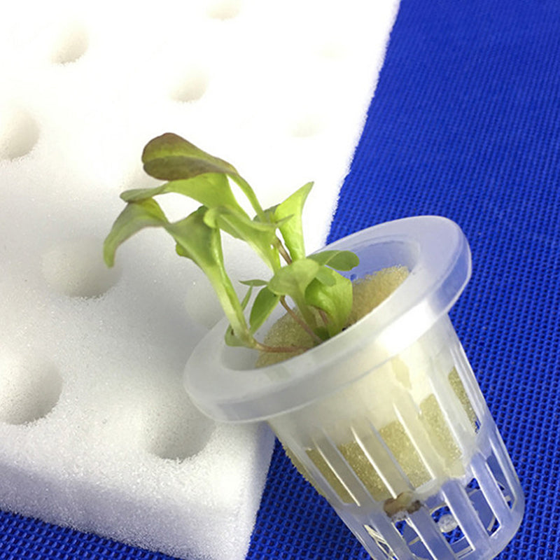 Hydroponic Grow Sponges for Soil-Less Cultivation (100) by HitMyNeed
